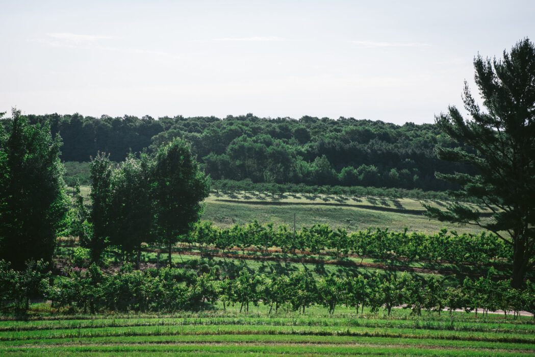 Striewski_210709_3880-2